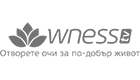 WNESSTV